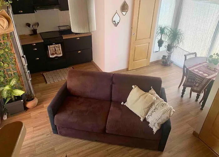 Petit Proche Du Pic St Loup Appartement
